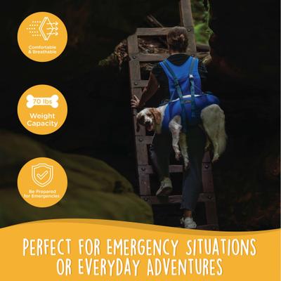 Show full view: Canine Canyon Rover Rescue Dog Carry Support Harness, Bright Blue slide 4 of 10