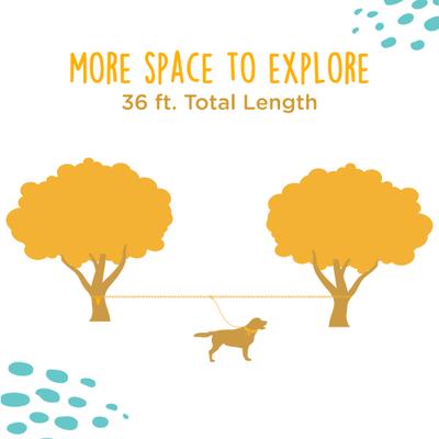 Show full view: Canine Canyon Sarge Portable Dog Run with Leash & Carry Bag, Orange, 36-ft long, Medium, leash slide 5 of 10