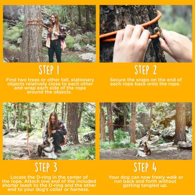 Show full view: Canine Canyon Sarge Portable Dog Run with Leash & Carry Bag, Orange, 36-ft long, Medium, leash slide 4 of 10