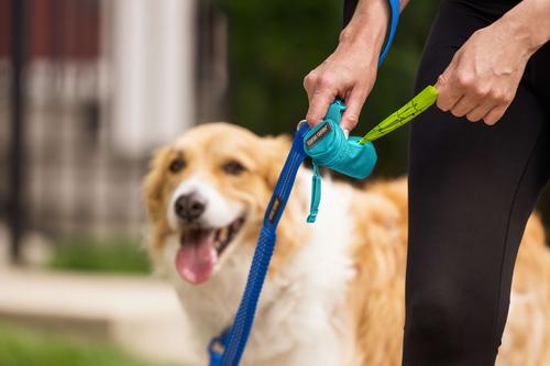 Show full view: Canine Canyon Bailey Dog Poop Bag Dispenser, Teal, Medium, Dispenser slide 7 of 10