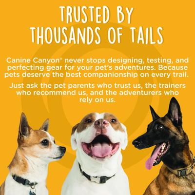 Show full view: Canine Canyon Buckley Dog Training Treat Bag, Teal slide 9 of 9