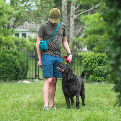 Show full view: Canine Canyon Buckley Dog Training Treat Bag, Teal slide 6 of 9