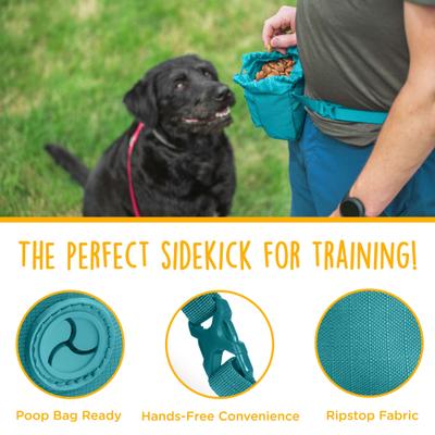 Show full view: Canine Canyon Buckley Dog Training Treat Bag, Teal slide 4 of 9
