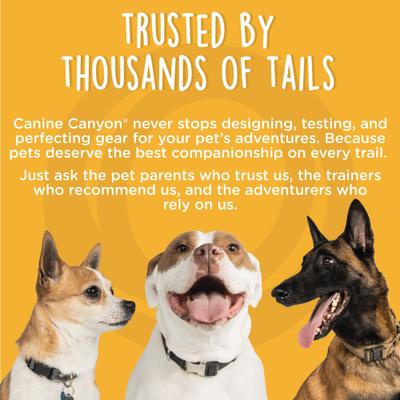 Show full view: Canine Canyon Stella Dog Walking Waist Belt Bag, Bright Blue, Medium, Pack slide 10 of 10