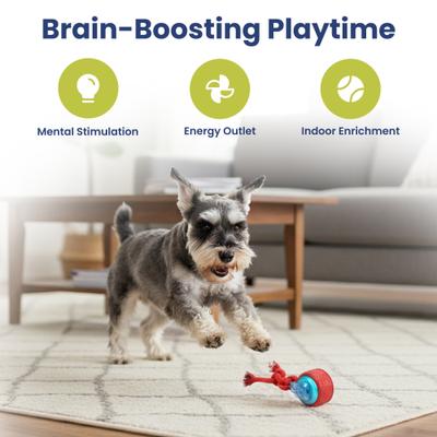 Show full view: PawsPik Tug & Spin Smart Interactive Dog Toy, Red, Medium slide 4 of 11