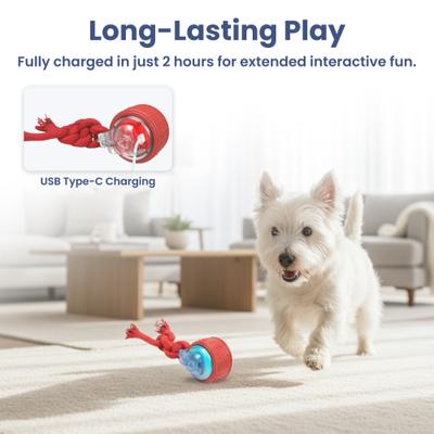 Show full view: PawsPik Tug & Spin Smart Interactive Dog Toy, Red, Medium slide 6 of 11