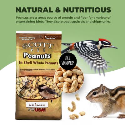 Show full view: SCOTT PET In-Shell Whole Peanuts Seed Jay Wild Bird Food, 4-lb bag slide 2 of 7