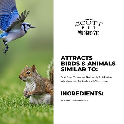 Show full view: SCOTT PET In-Shell Whole Peanuts Seed Jay Wild Bird Food, 4-lb bag slide 5 of 7