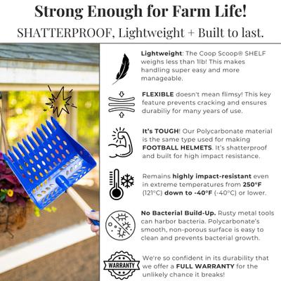 Show full view: Bee Jeweled Coop The Coop Scoop 2-in-1 Chicken Poop Scoop, Rake & Hand Shovel, 10-in handle slide 7 of 9