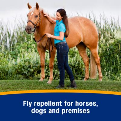 Show full view: Farnam Bronco e Citronella Scented Equine Fly Spray, 32-fl oz bottle slide 5 of 12