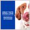 Show in main carousel: Hill's Science Diet Adult Sensitive Stomach & Skin Small & Mini Breed Chicken Recipe Dry Food + Hill's Natural Soft Savories with Peanut Butter & Banana Dog Treats slide 8 of 10
