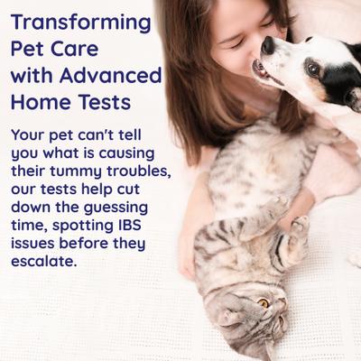 Show full view: Innovative Pet Lab Inflammation & Immunity Dog & Cat Gut Check Kit slide 4 of 10