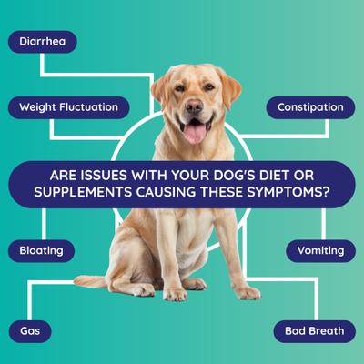 Show full view: Innovative Pet Lab Digestion & Detox Gut Check slide 3 of 10