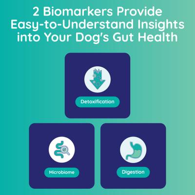 Show full view: Innovative Pet Lab Digestion & Detox Gut Check slide 5 of 10