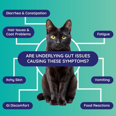 Show full view: Innovative Pet Lab Comprehensive Gut Check Test Kit for Cats slide 3 of 11