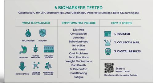 Show full view: Innovative Pet Lab Comprehensive Review Dog Gut Check Kit slide 10 of 11
