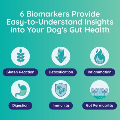 Show full view: Innovative Pet Lab Comprehensive Review Dog Gut Check Kit slide 5 of 11