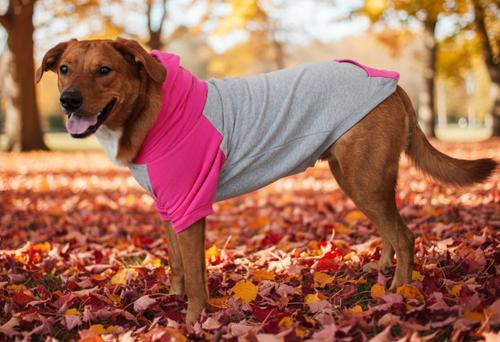 Show full view: Doggie Design Color-Block Solid Dog Hoodie, Pink on Gray, Small slide 3 of 5