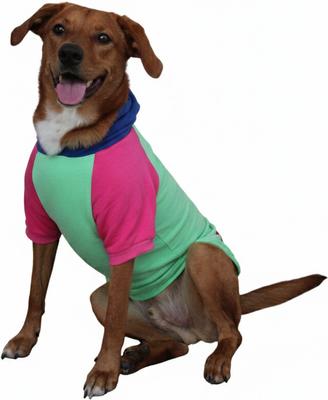 Show full view: Doggie Design Color-Block Solid Dog Hoodie, Pink on Mint, XXXX-Large slide 2 of 4