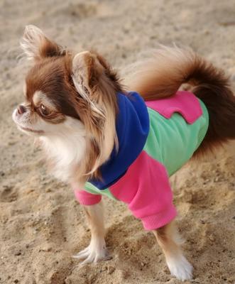 Show full view: Doggie Design Color-Block Solid Dog Hoodie, Pink on Mint, XXXX-Large slide 4 of 4