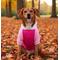 Show in main carousel: Doggie Design Color-Block Solid Dog Hoodie, Pink on Pink, XXXX-Large slide 5 of 5