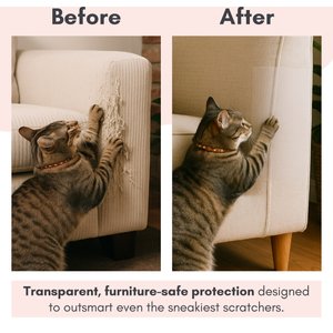Necoichi Cat Anti-Scratching Sheet, Clear, Small, 6 count
