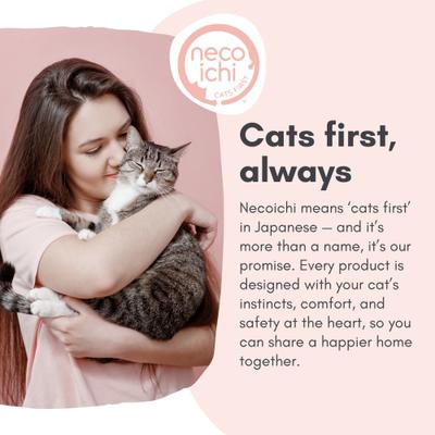 Show full view: Necoichi Cat Anti-Scratching Sheet, Clear, Small, 6 count slide 2 of 7