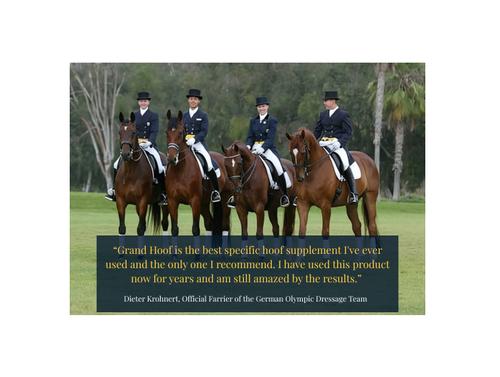 Show full view: Grand Meadows Grand Hoof Pellets + MSM Hoof Support Formula Horse Supplement, 10-lb tub slide 8 of 9