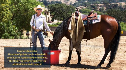 Show full view: Grand Meadows Grand Hoof Pellets + MSM Hoof Support Formula Horse Supplement, 10-lb tub slide 6 of 9
