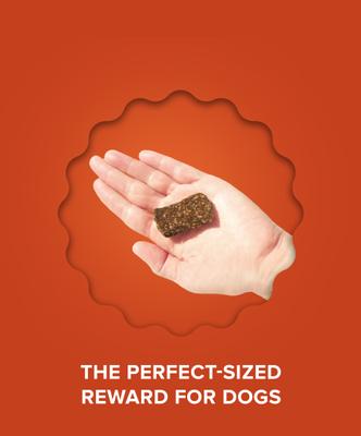 Show full view: Plato Original Real Strips Turkey & Cranberry Recipe Grain-Free Dog Treats, 6-oz bag slide 7 of 11