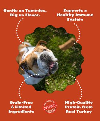 Show full view: Plato Original Real Strips Turkey & Cranberry Recipe Grain-Free Dog Treats, 6-oz bag slide 6 of 11