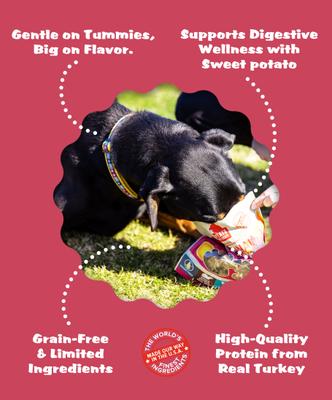 Show full view: Plato Original Real Strips Turkey & Sweet Potato Recipe Grain-Free Dog Treats, 6-oz bag slide 4 of 10