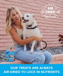 Plato Original Real Strips Salmon Recipe Dog Treats, 18-oz bag slide 2 of 8