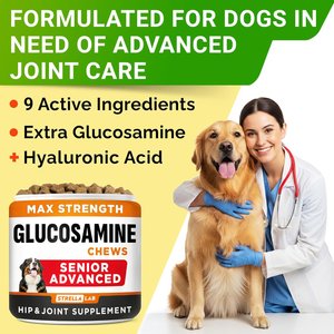 StrellaLab Senior Advanced Hip & Joint Bacon Flavored Soft Chews for Dogs with Glucosamine, Chondroitin & Omega-3 Fish Oil, 120 count