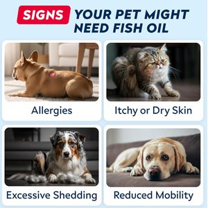 StrellaLab Salmon Oil & Cats & Itch & Allergy Relief Skin & Coat with Omega 3 Supplement for Dogs, 32-fl oz bottle