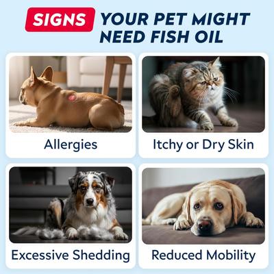 Show full view: StrellaLab Salmon Oil & Cats & Itch & Allergy Relief Skin & Coat with Omega 3 Supplement for Dogs, 32-fl oz bottle slide 6 of 8