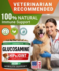 StrellaLab Glucosamine Chondroitin & Hip & Joint with Omegas 3 & Fish Oil Advanced Mobility Chew Supplement for Dogs, 120 count slide 2 of 7