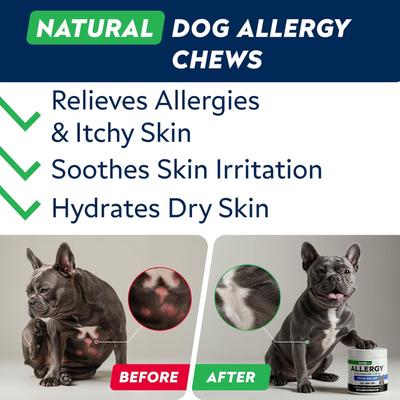 Show full view: StrellaLab Allergy Relief & Anti Itch Relief with Omega 3 Skin & Coat Fish Oil Chew Supplement for Dogs, 180 count slide 3 of 9