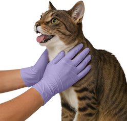 FifthPulse Nitrile Exam Latex Free & Powder Free Gloves, Lilac, Small, 100 count slide 2 of 5