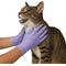Show in main carousel: FifthPulse Nitrile Exam Latex Free & Powder Free Gloves, Lilac, X-Small, 200 count slide 4 of 6