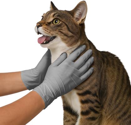 Show full view: FifthPulse Nitrile Exam Latex Free & Powder Free Gloves, Cool Gray, Large, 100 count slide 4 of 6