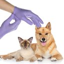 FifthPulse Nitrile Exam Latex Free & Powder Free Gloves, Lilac, Medium, 200 count