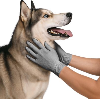 Show full view: FifthPulse Nitrile Exam Latex Free & Powder Free Gloves, Cool Gray, Large, 100 count slide 5 of 6