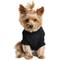 Show in main carousel: Doggie Design Combed Cotton Cable Knit Solid Dog Sweater, Jet Black, X-Large slide 2 of 4