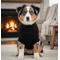 Show in main carousel: Doggie Design Combed Cotton Cable Knit Solid Dog Sweater, Jet Black, X-Large slide 4 of 4