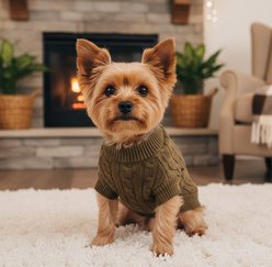 Doggie Design Combed Cotton Cable Knit Solid Dog Sweater, Herb Green, XX-Small slide 2 of 4