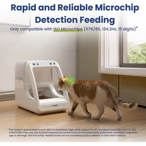PawsPik Automatic Microchip RFID Cat Feeder, 16-cup