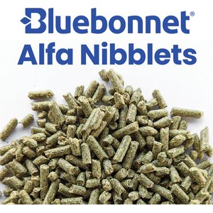 Bluebonnet Feeds Alfalfa Nibblets Pelleted Forage Horse Feed, 50-lb bag