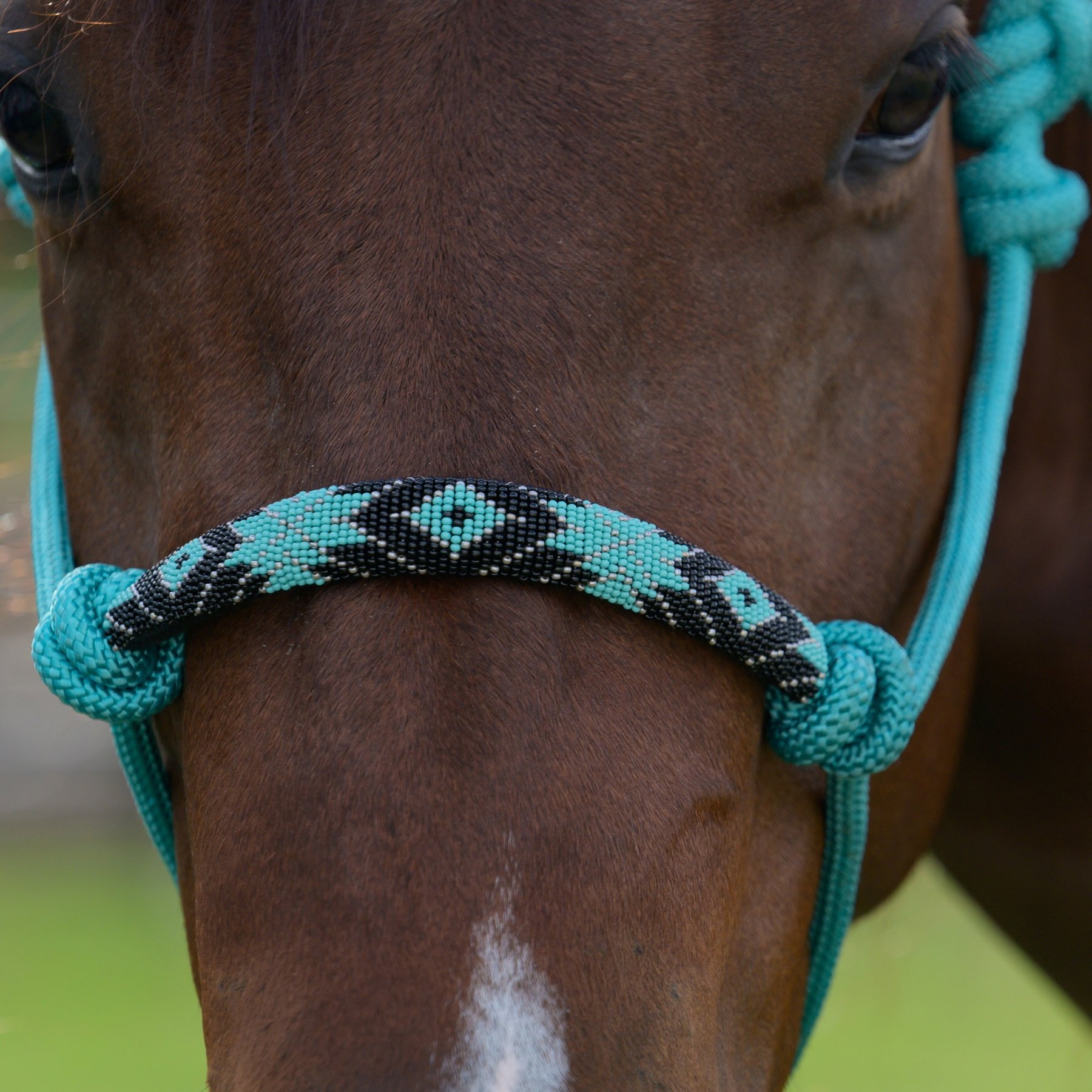 Professional's Choice Beaded Rope Horse Halter, Aqua