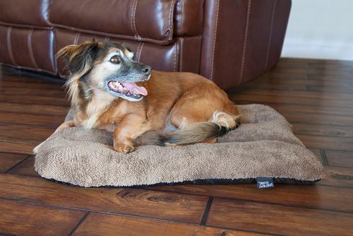 Show full view: SP Waterproof Plush Dog Bed, 28-in slide 5 of 7